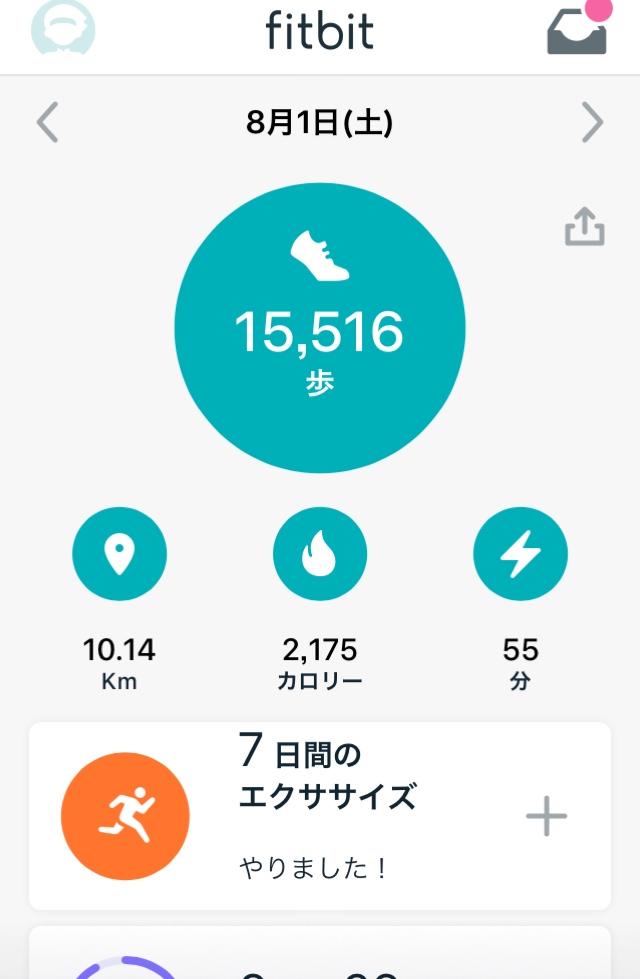 【fitbitおすすめ】ダイエットが加速する！スマートウォッチを使ってみた感想【inspire HR】