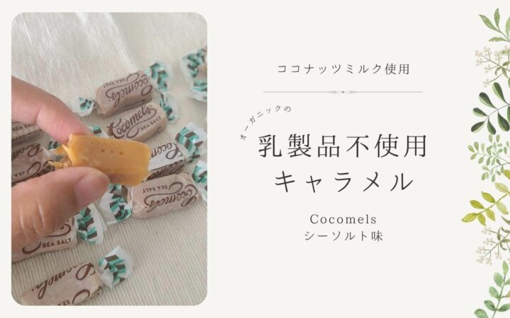 iHerb（アイハーブ）で買えるCocomels（ココメルズ）オーガニックココナッツミルクキャラメル、海塩