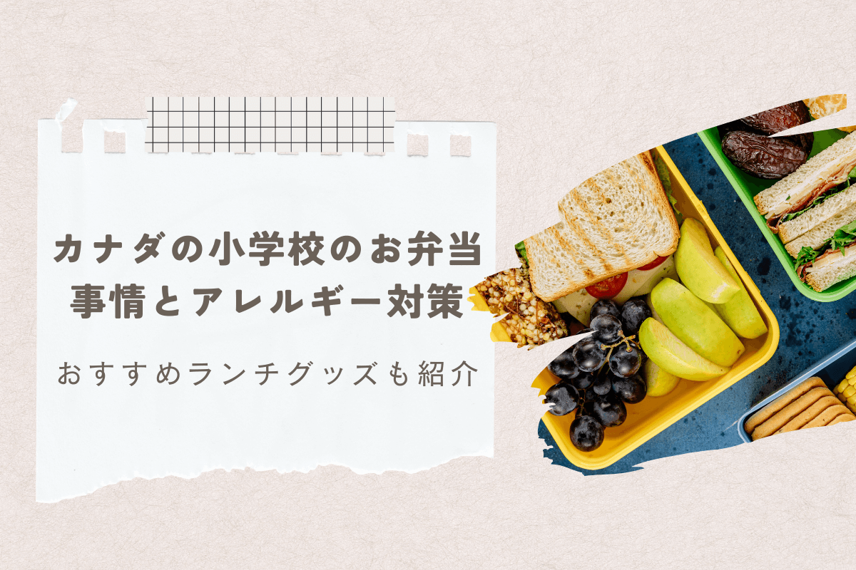 カナダの小学校のお弁当事情とアレルギー対策｜おすすめランチグッズも紹介