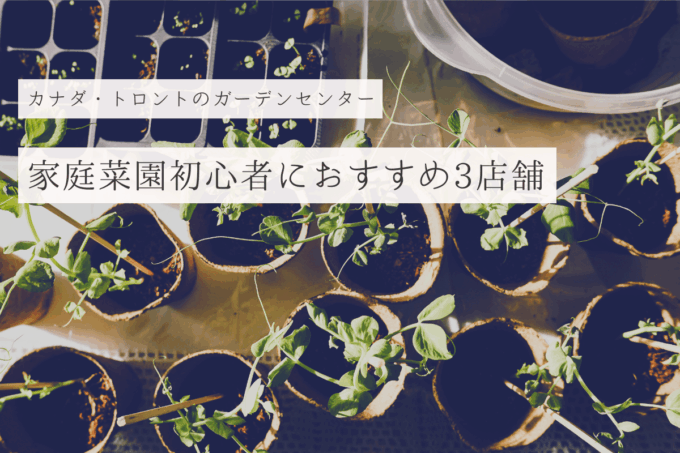 カナダ・トロントのガーデンセンター（園芸店）おすすめ3店舗！家庭菜園始めるならまずチェックしよう