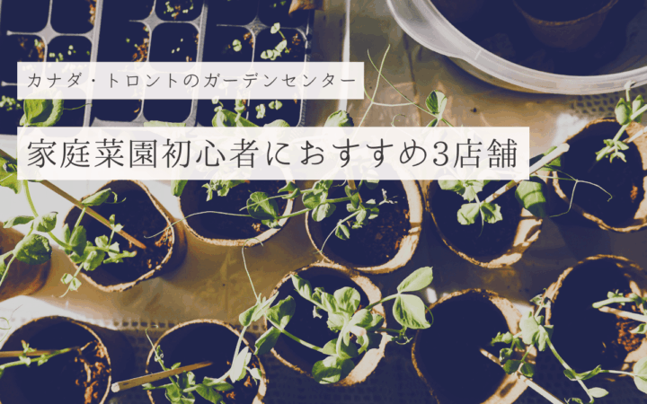 カナダ・トロントのガーデンセンター（園芸店）おすすめ3店舗！家庭菜園始めるならまずチェックしよう