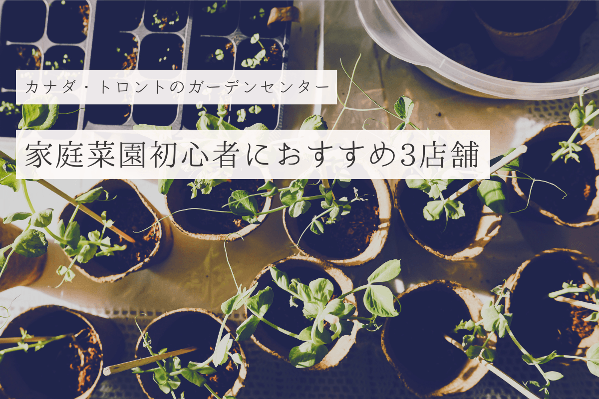カナダ・トロントのガーデンセンター(園芸店)おすすめ3店舗!家庭菜園始めるならまずチェックしよう